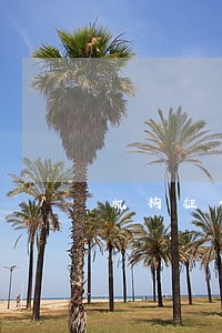 机构征信上传错误导致逾期 机构征信上传错误导致逾期