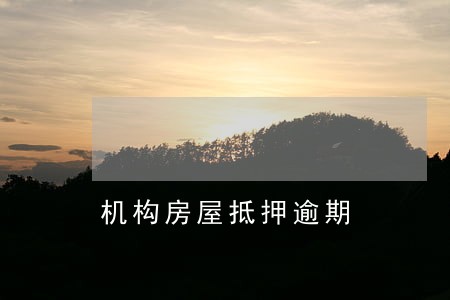 机构房屋抵押逾期