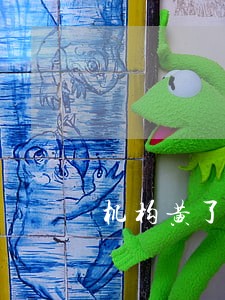 机构黄了但逾期记录还在 机构黄了但逾期记录还在