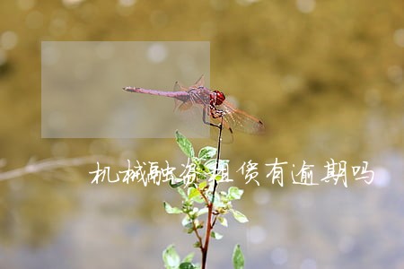 机械融资租赁有逾期吗 机械融资租赁有逾期吗