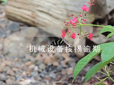 机械设备按揭逾期