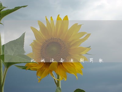 机械设备逾期罚款