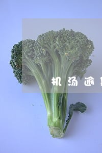 机汤逾期十天