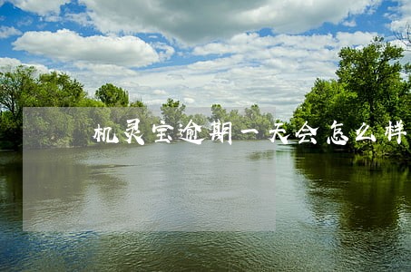 机灵宝逾期一天会怎么样 机灵宝逾期一天会怎么样