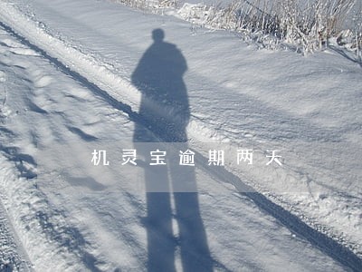 机灵宝逾期两天 机灵宝逾期两天