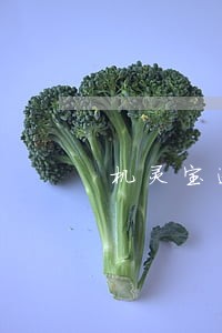 机灵宝逾期催收厉害吗 机灵宝逾期催收厉害吗