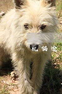 机猫逾期三天 机猫逾期三天