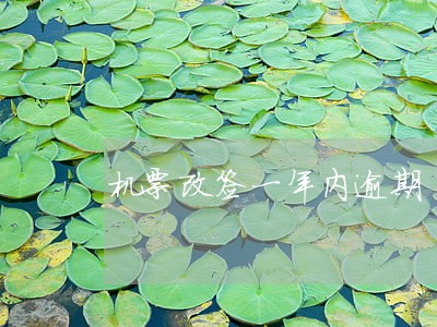 机票改签一年内逾期 机票改签一年内逾期