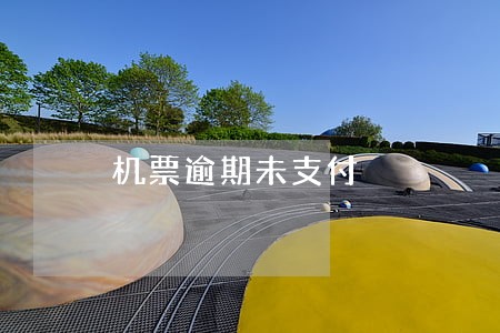 机票逾期未支付 机票逾期未支付