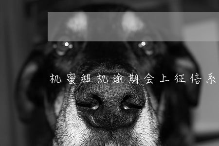 机蜜租机逾期会上征信系统吗 机蜜租机逾期会上征信系统吗
