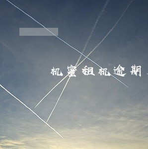 机蜜租机逾期后果 机蜜租机逾期后果