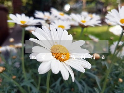 机蜜逾期收到判决
