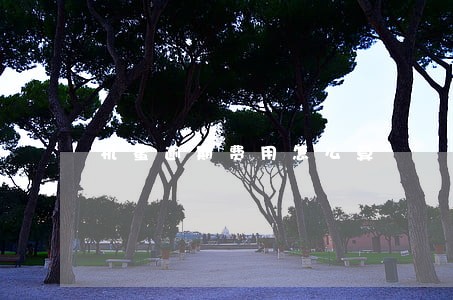 机蜜逾期费用怎么算 机蜜逾期费用怎么算