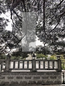 机长这种做法违法吗