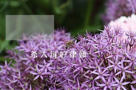 杀人辩护律师 杀人辩护律师