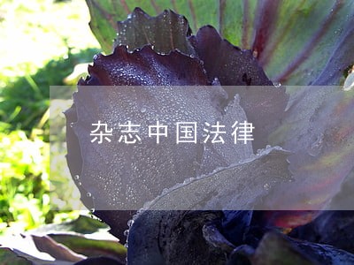 杂志中国法律 杂志中国法律