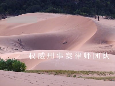 权威刑事案律师团队 权威刑事案律师团队