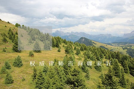 权威律师咨询哪家好 权威律师咨询哪家好