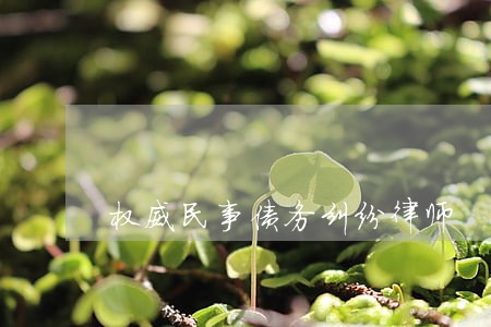 权威民事债务纠纷律师 权威民事债务纠纷律师