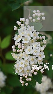 权威法律条文在哪里找呢