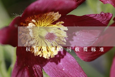 权威法律顾问收费标准 权威法律顾问收费标准