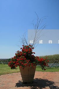 权威的法律咨询机构推荐 权威的法律咨询机构推荐