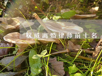 权威离婚律师前十名 权威离婚律师前十名