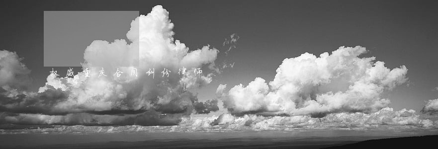 权威重庆合同纠纷律师 权威重庆合同纠纷律师