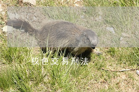 权色交易刑法 权色交易刑法