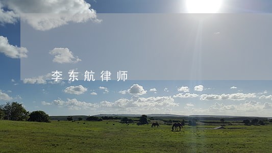 李东航律师 李东航律师