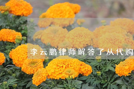 李云鹏律师解答了从代购买到假货 李云鹏律师解答了从代购买到假货