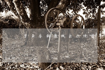 李亚东到谯城区法院督导执行工作 李亚东到谯城区法院督导执行工作