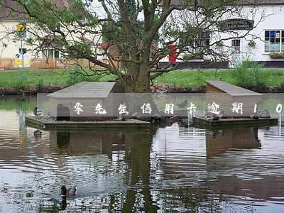 李先生信用卡逾期100天后果 李先生信用卡逾期100天后果