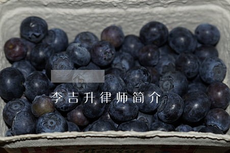 李吉升律师简介 李吉升律师简介