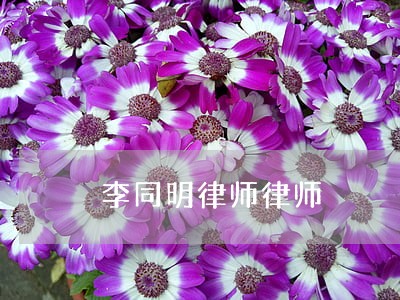 李同明律师律师