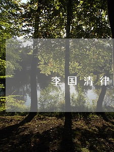 李国清律师在线法律咨询 李国清律师在线法律咨询