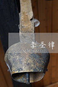 李圣律师 李圣律师