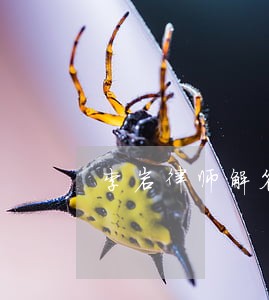 李岩律师解答了我刚与女友分手