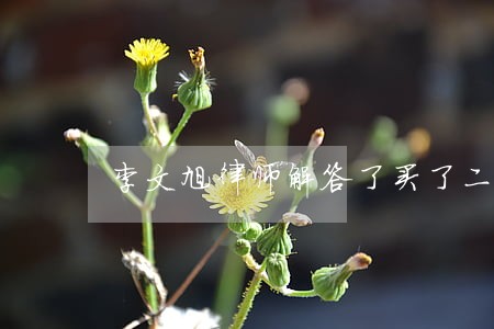 李文旭律师解答了买了二手房 李文旭律师解答了买了二手房