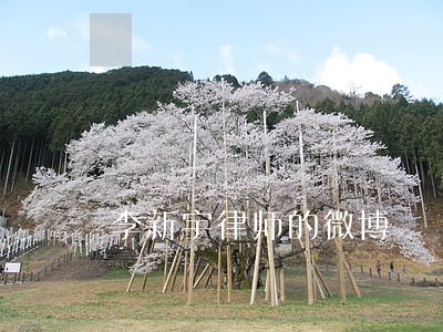 李新宇律师的微博 李新宇律师的微博