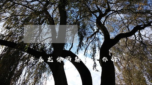 李春龙律师解答了你好 李春龙律师解答了你好