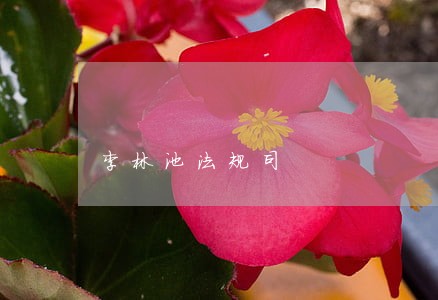 李林池法规司 李林池法规司