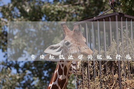 李梅触犯法律将被执行死刑 李梅触犯法律将被执行死刑
