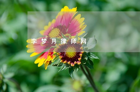 李梦月律师网 李梦月律师网