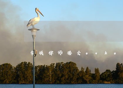 李瑛律师接受enke 李瑛律师接受enke