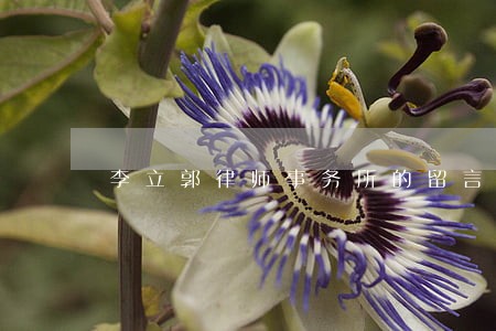 李立郭律师事务所的留言 李立郭律师事务所的留言