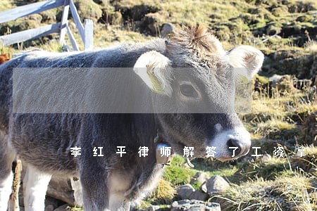 李红平律师解答了工资拿不到 李红平律师解答了工资拿不到