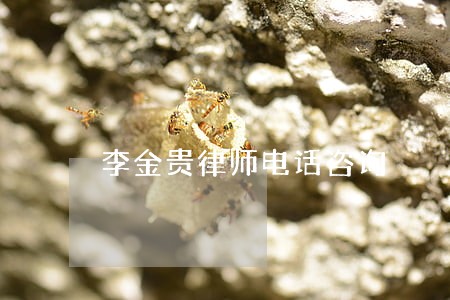 李金贵律师电话咨询 李金贵律师电话咨询