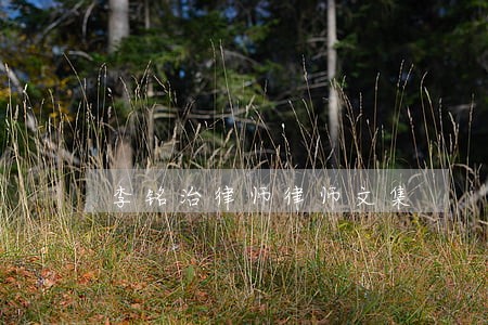 李铭治律师律师文集 李铭治律师律师文集