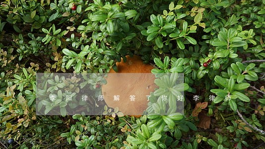 李阳律师解答了你好李律师 李阳律师解答了你好李律师